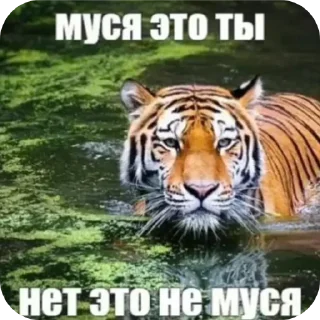 🌴 emoji Язык SPEED Telegram sticker 18 of 60
