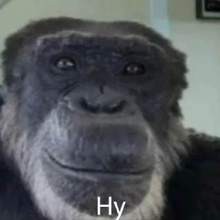 🐵 emoji Емоції життя Telegram sticker 11 of 85
