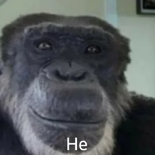 🐵 emoji Емоції життя Telegram sticker 20 of 85