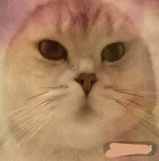 🤩 emoji Легендо до Telegram sticker 12 of 88