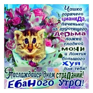 Sticker from гнилая улыбка