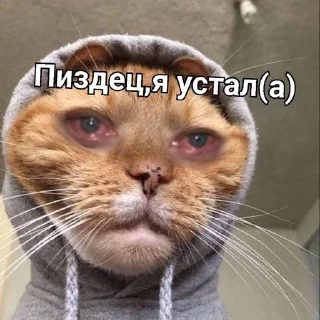 😭 emoji Не пизди мои стики Telegram sticker 23 of 27