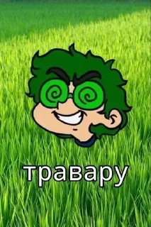 🙈 emoji 13 карт Telegram sticker 13 of 15