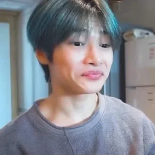 🦊 emoji любимый чонин Telegram sticker 8 of 50