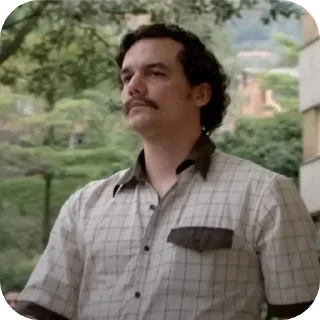 😌 emoji Сеньор Пабло Эскобар Telegram sticker 7 of 19