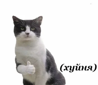 👍 emoji чикипук🐀 Telegram sticker 21 of 53