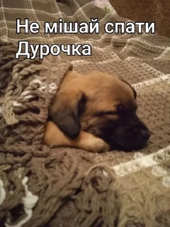 😴 emoji 𐌽ᥱᥒsi4κᥲ Telegram sticker 10 of 18