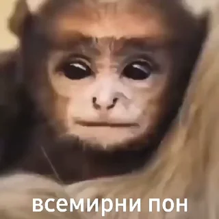 Sticker from Ещкере