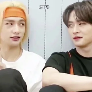 🤝 emoji Skz meme Telegram sticker 24 of 38