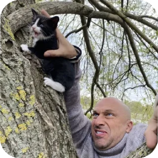🐱 emoji Нагиев Telegram sticker 7 of 19