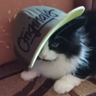🧢 emoji Сонька няшк Telegram sticker 8 of 40