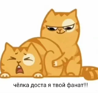 🥴 emoji вы приняты в illuminati Telegram sticker 14 of 86