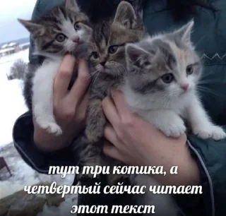 🌟 emoji Комфортик Telegram sticker 11 of 57