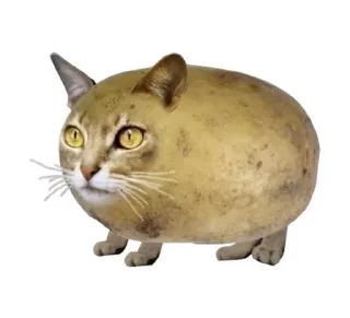 🌟 emoji Мемы Telegram sticker 11 of 23