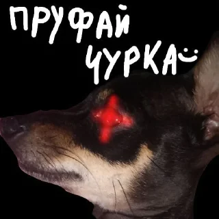 Sticker from Чел, боже