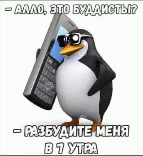 Sticker from линка топ