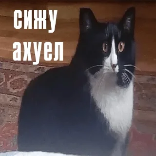 🤯 emoji Я переленилась блять Telegram sticker 16 of 94