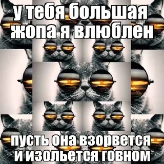 🌟 emoji Стикер пак для крутых сигм рес Telegram sticker 1 of 120