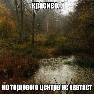 🌟 emoji Стикер пак для крутых сигм рес Telegram sticker 14 of 120