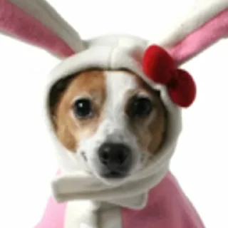 😉 emoji Смешные Акакии Telegram sticker 8 of 29