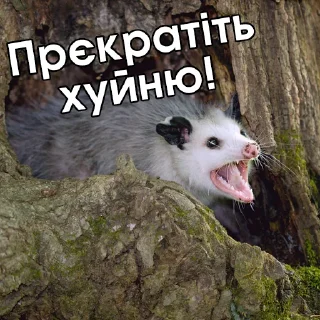 😡 emoji Файні звірятка 2 (by @gendalfs_titties) Telegram sticker 13 of 81