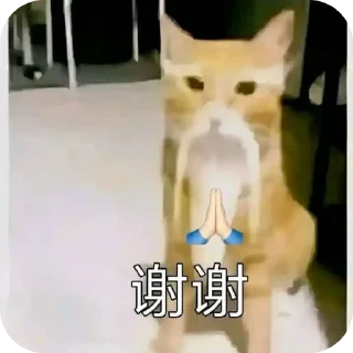 🐱 emoji Бока не бока 2 Telegram sticker 24 of 120