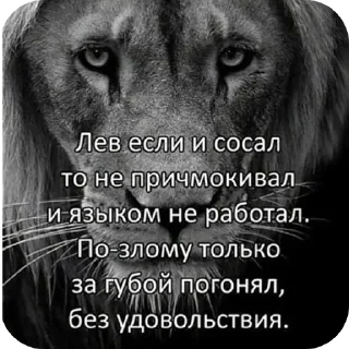 🖼 emoji Бока не бока 2 Telegram sticker 21 of 120