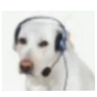 🤲 emoji Стикеры на все случаи жизни Telegram sticker 21 of 32