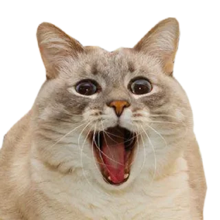😒 emoji @TVstickers Crazy Telegram sticker 1 of 64