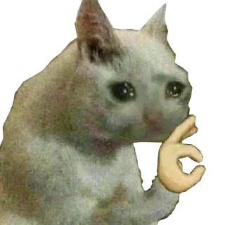 😥 emoji @TVstickers Crazy Telegram sticker 16 of 64