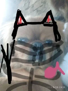 😏 emoji Быть счастливым Telegram sticker 7 of 17