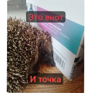 📝 emoji Чёто мб крутое Telegram sticker 16 of 49