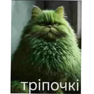 🐱 emoji мініт іт кітів Telegram sticker 19 of 24