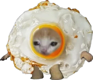 🍳 emoji Жизненные коты и мемы Telegram sticker 19 of 52