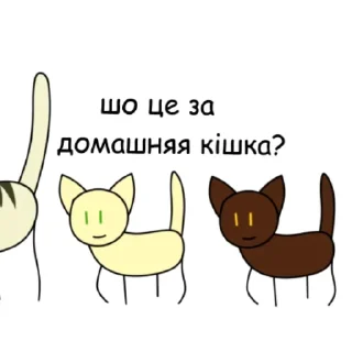🤨 emoji Коьы воители в двух словах Telegram sticker 8 of 16