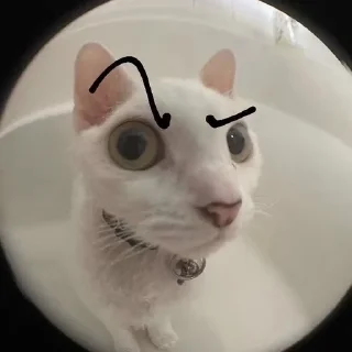 🤨 emoji Хз чё писать???? Telegram sticker 9 of 30