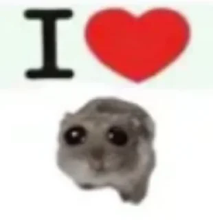 🌟 emoji хомячки Telegram sticker 24 of 55