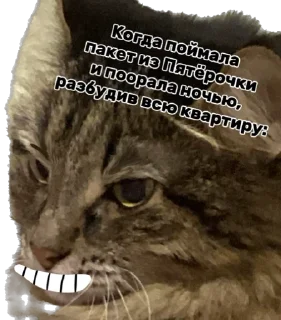 😈 emoji Дарья Легенда Telegram sticker 22 of 61