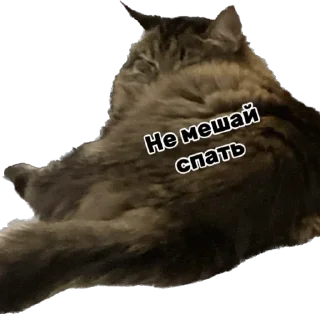 😑 emoji Дарья Легенда Telegram sticker 6 of 61