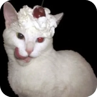 🐱 emoji котэке Telegram sticker 12 of 44