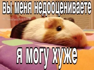 🌟 emoji Оригинальные ответы Telegram sticker 7 of 38
