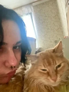 😺 emoji данила ты что крейзи Telegram sticker 6 of 10