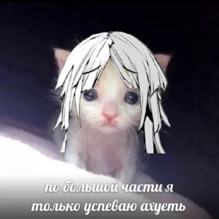 🌟 emoji Попа мухи Telegram sticker 9 of 50