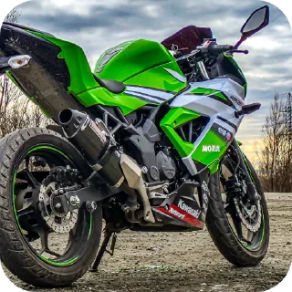 🏍 emoji Kawasaka Telegram sticker 8 of 46