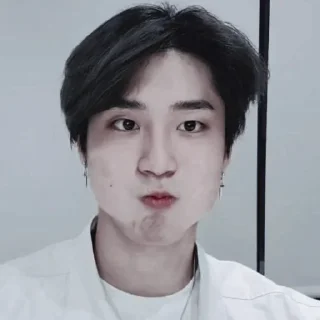 🥡 emoji ᝰ jisung :: @neverzse Telegram sticker 21 of 36
