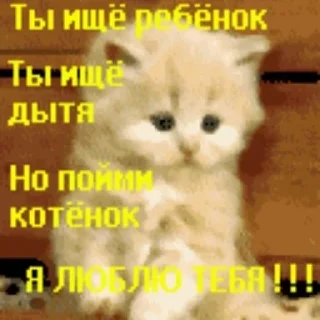🫀 emoji котики - наркотики Telegram sticker 18 of 65