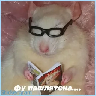 😋 emoji Злюка Денетор Telegram sticker 11 of 25
