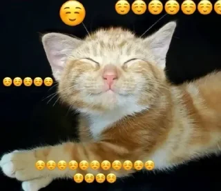 🌟 emoji в IT и выйти Telegram sticker 23 of 120