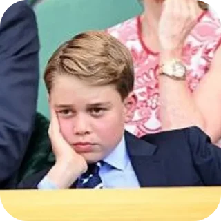 🤨 emoji Prince George Telegram sticker 19 of 33