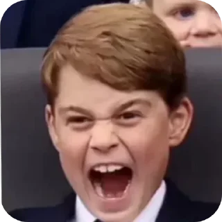 😫 emoji Prince George Telegram sticker 2 of 33